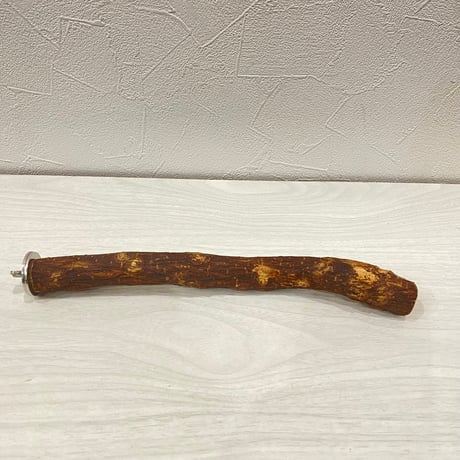 自然木（ツタ）パーチ⑨ 直径約2.2cm/長さ25cm