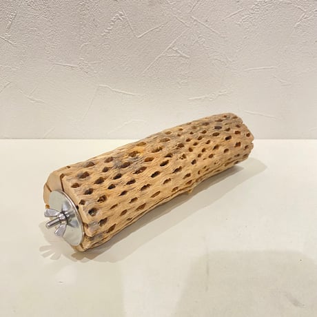 カクタスパーチ⑨ 直径約5.5cm/長さ20cm