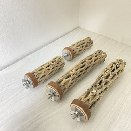 【tomollino様専用】カクタスパーチ 極小サイズ長さ/8cm/16cm
