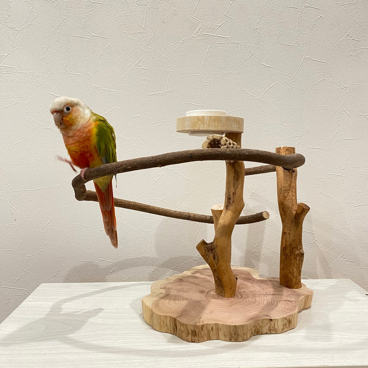ツタのぐるぐるバードアスレチック②【インコのおもちゃ・自然木の