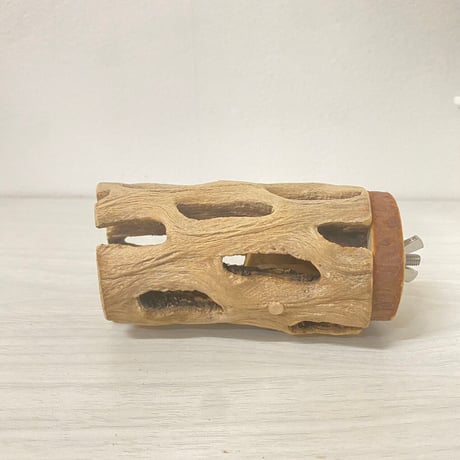 カクタスパーチ中サイズ直径（約5.5cm）／10cm ①