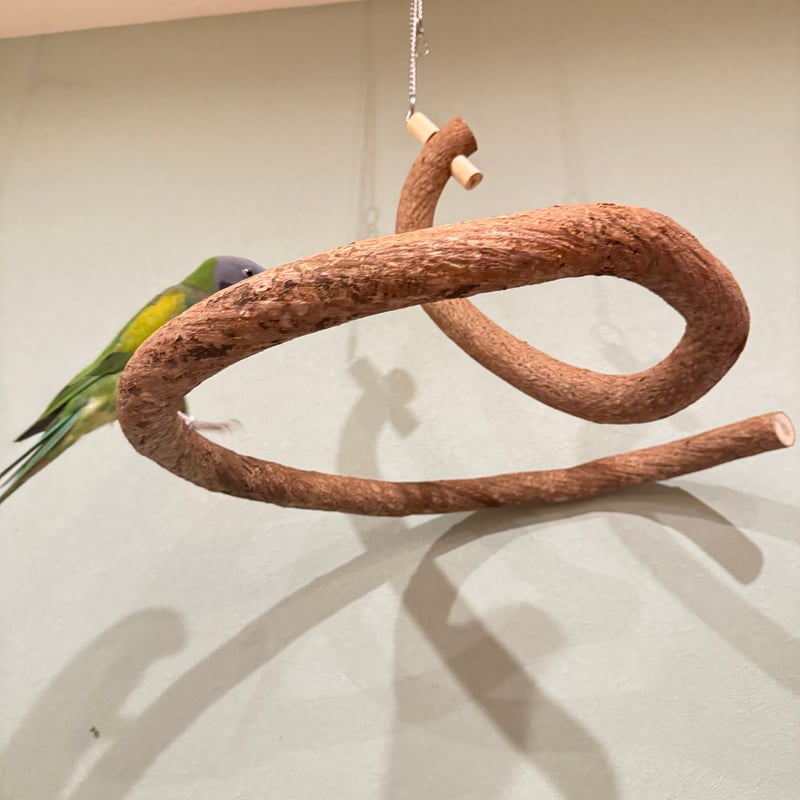 超でかいとぐろちゃんブランコ 【インコのおもちゃ 自然木】 | 自然木