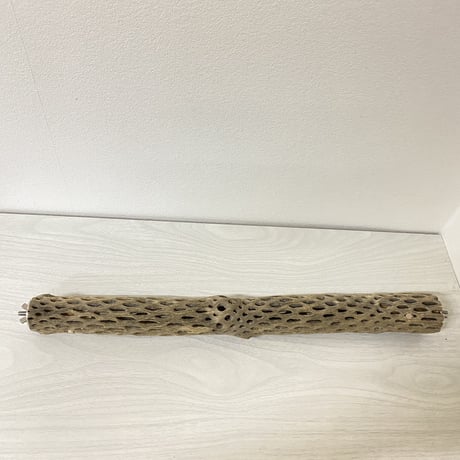 ケージサイズカクタスパーチ① 小サイズ直径4cm HOEI465サイズ