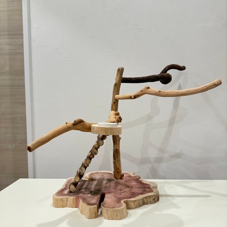 自然木（ツタ・貝塚伊吹）とハシゴのバードアスレチック【インコのおもちゃ・自然木のとまり木】