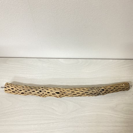 ケージサイズカクタスパーチ 極小サイズ直径2-3cm HOEI465 ⑤