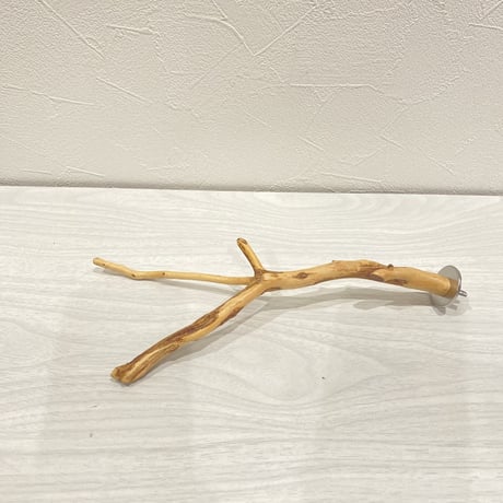 自然木（カイヅカイブキ）のパーチ③　直径0.5～1.2cm／長さ25cm