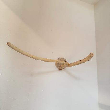 桧のピノキオの鼻⑤