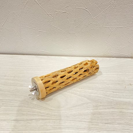 カクタスパーチ小直径3~4cm 長さ15cm ⑤