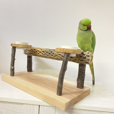 おやつ入れ付きカクタススタンドパーチ① 中型から大型さん用