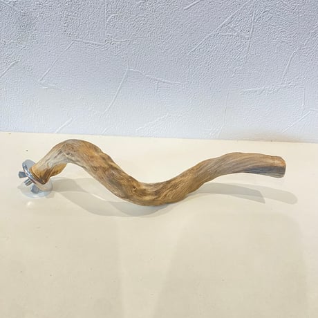 自然木（ツタ皮無し）パーチ 直径1.5~1.8cm/長さ17cm