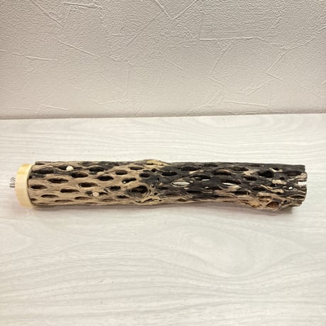 カクタスパーチ【K】  小 直径4cm前後 長さ25cm