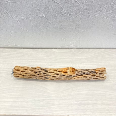カクタスパーチ小② 直径約3~4cm 長さ30cm