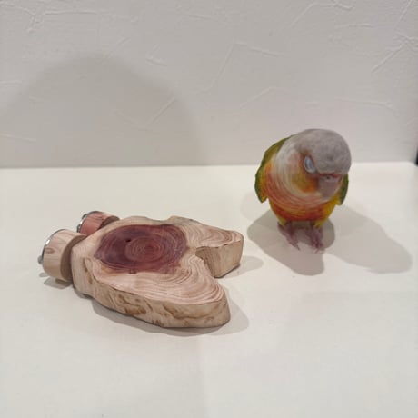 CATEGORY カイヅカイブキ | 自然木の鳥用品 鳥豆堂【トリマメドウ