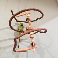 コトリのなる木カスタム 【インコ 止まり木 自然】