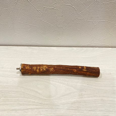 自然木（ツタ）パーチ⑤ 直径2.4cm/長さ20.5cm