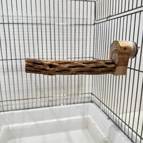 カクタスパーチ極小サイズ① 直径2.3cm/長さ14.5cm【自然木 止まり木 バンブルフット 趾瘤症 】