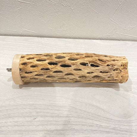カクタスパーチ【21】直径4~5cm/長さ15cm