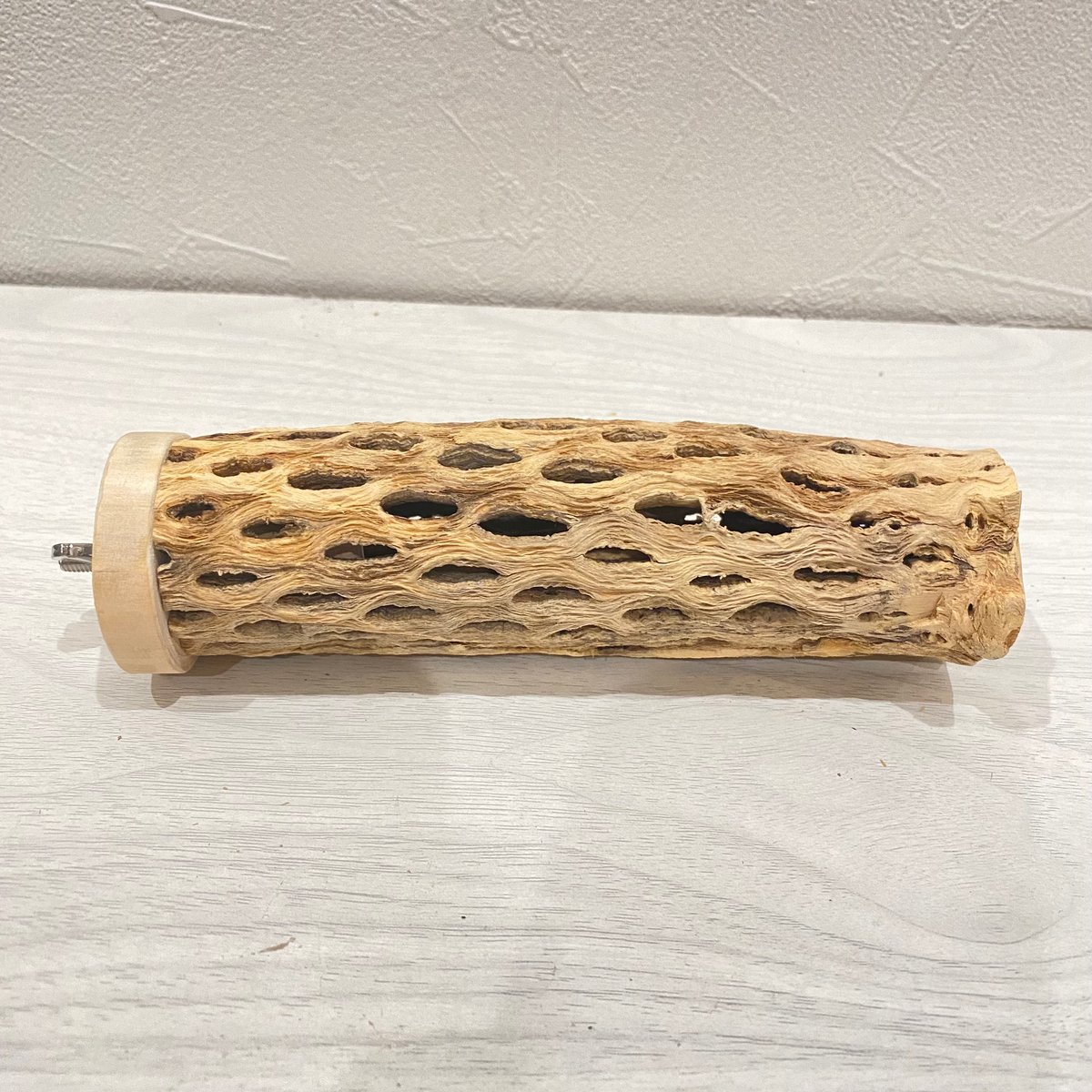 ⭐︎Diamond★　おまとめ　カクタスパーチ　３本 ⭐︎Diamond☆ おまとめ カクタスパーチ 3本 ナチュラルパーチ