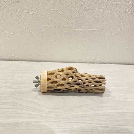 カクタスパーチ【7】 小直径3.5cm/10cm