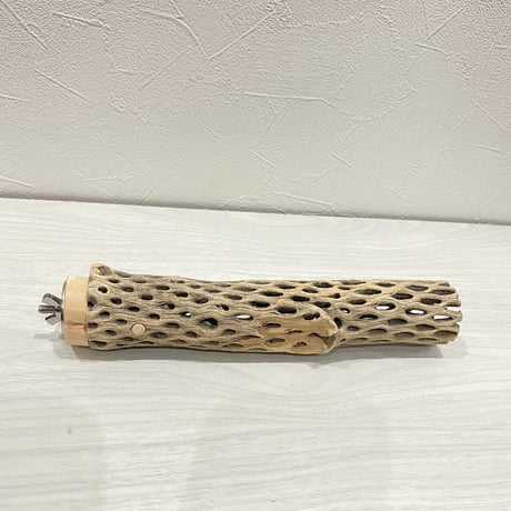 カクタスパーチ④ 小サイズ直径3.5〜4cm/20cm