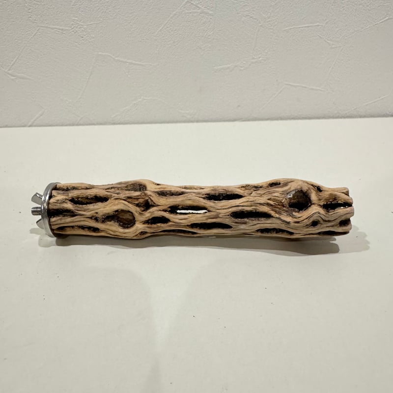 カクタスパーチ極小サイズ 直径2.7-3cm/長さ15cm⑯【自然木 止まり木