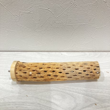 カクタスパーチ小③ 直径約3~4cm 長さ20cm