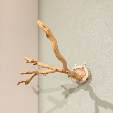 ピノキオの鼻 ③