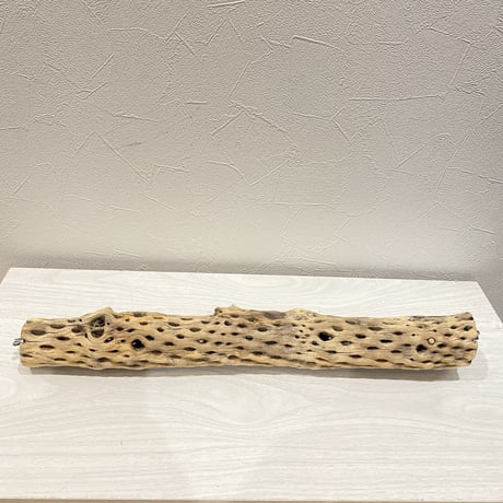 【H様専用】ケージサイズカクタスパーチ  中サイズ（直径約5.5cm）HOEI465