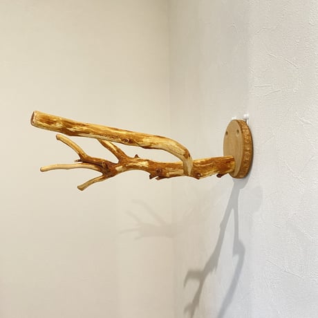 ピノキオの鼻 ⑦