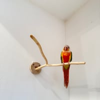 桧のピノキオの鼻④