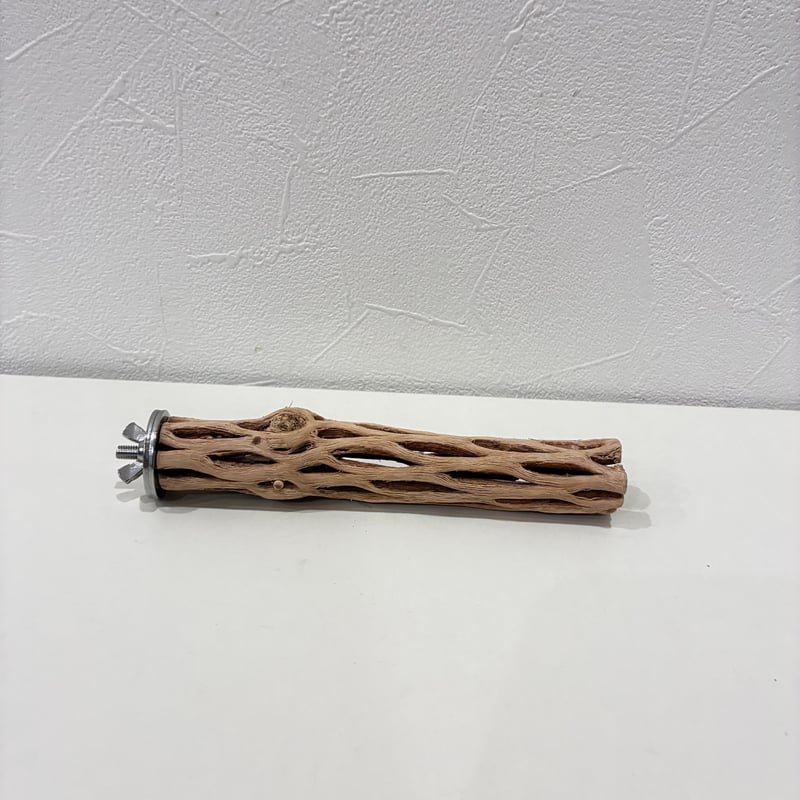 カクタスパーチ極小サイズ④ 直径約2.5cm/長さ15cm【自然木 止まり木