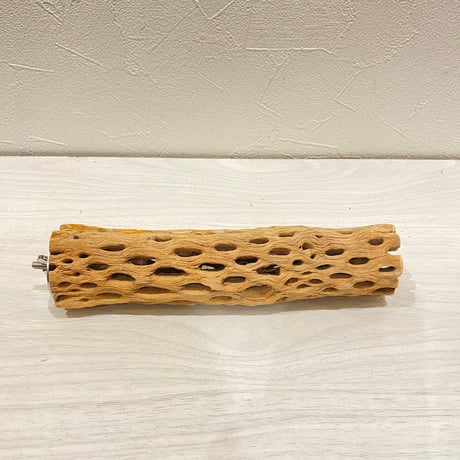 カクタスパーチ【29】直径4~5cm/長さ20cm