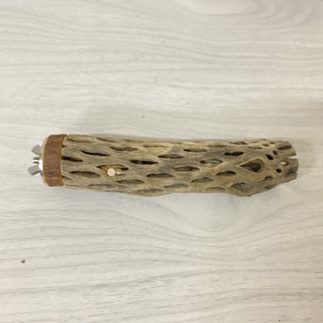 カクタスパーチ② 極小サイズ 直径（約2-3cm）長さ/14cm