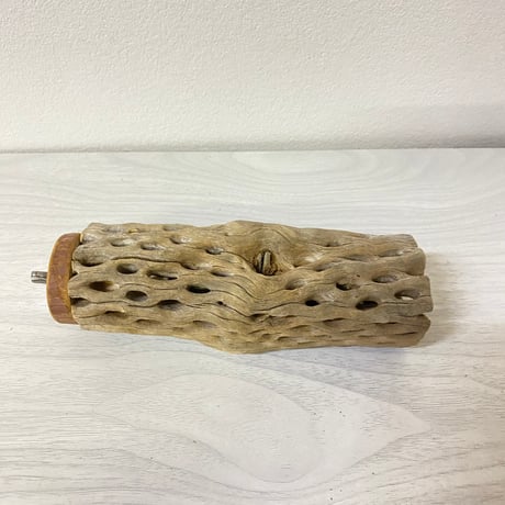 カクタスパーチ④ 中サイズ 直径（約5.5cm）長さ/15cm