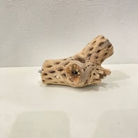 カクタスパーチ【C】直径4~5cm/長さ15cm | 自然木の鳥用品 鳥豆堂