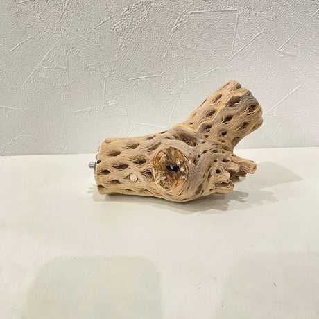 カクタスパーチ④ 直径約5~6cm/長さ14cm