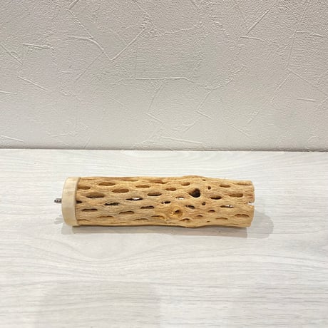 カクタスパーチ⑥ 小サイズ長さ15cm