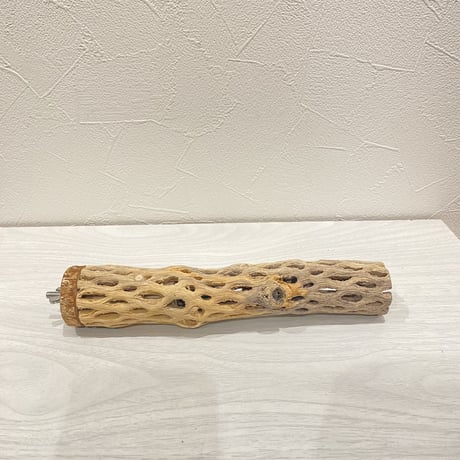 カクタスパーチ①  小 直径約4cm 長さ20cm