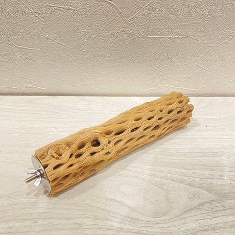 カクタスパーチ【30】直径4~5cm/長さ20cm