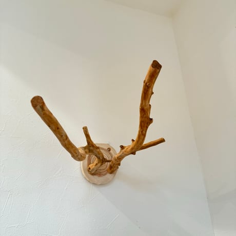 ピノキオの鼻 ⑥お鼻2本