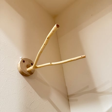 桧のピノキオの鼻⑥