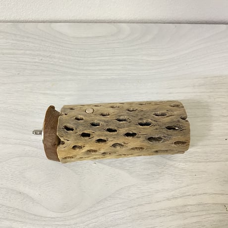 カクタスパーチ 中サイズ⑤ 直径約5cm 長さ/10cm