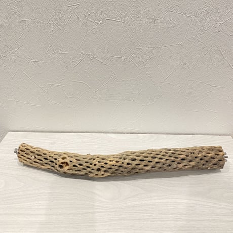 ケージサイズカクタスパーチ②  小直径3〜4cm HOEI465