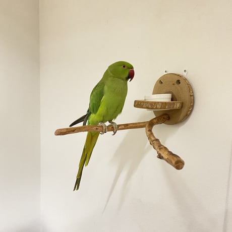 ピノキオの鼻③