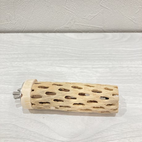カクタスパーチ【2】小 直径約3.5cm 長さ10cm