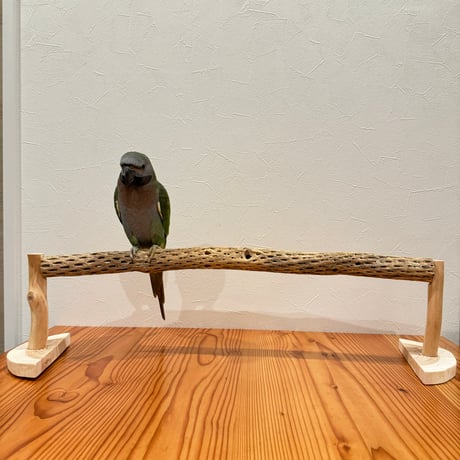 カクタスのなが〜いくつろぎスタンドパーチ【インコのおもちゃ・自然木のとまり木】