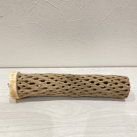 カクタスパーチ⑧ 中直径約5.5cm/25.5cm