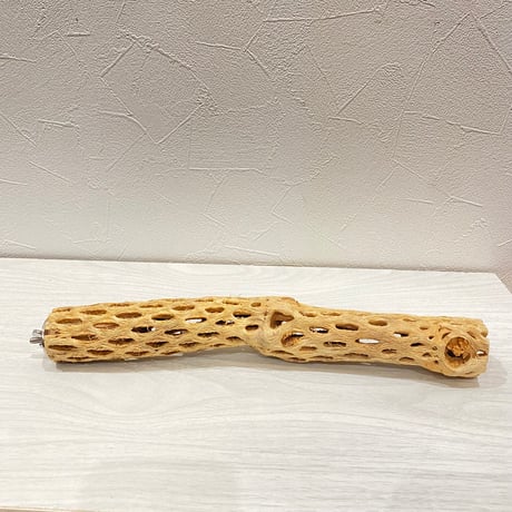 カクタスパーチ⑱ 小サイズ長さ30cm