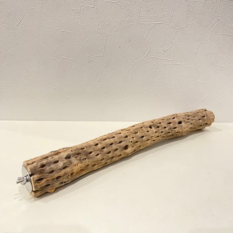 ケージサイズカクタスパーチ③ 直径約5cm HOEI465サイズ