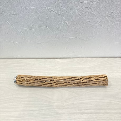カクタスパーチ小① 直径約3~4cm 長さ30cm